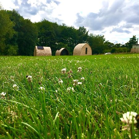 Alder Pod, Clay Bank Huts Hotel Ingleby Greenhow Bagian luar foto