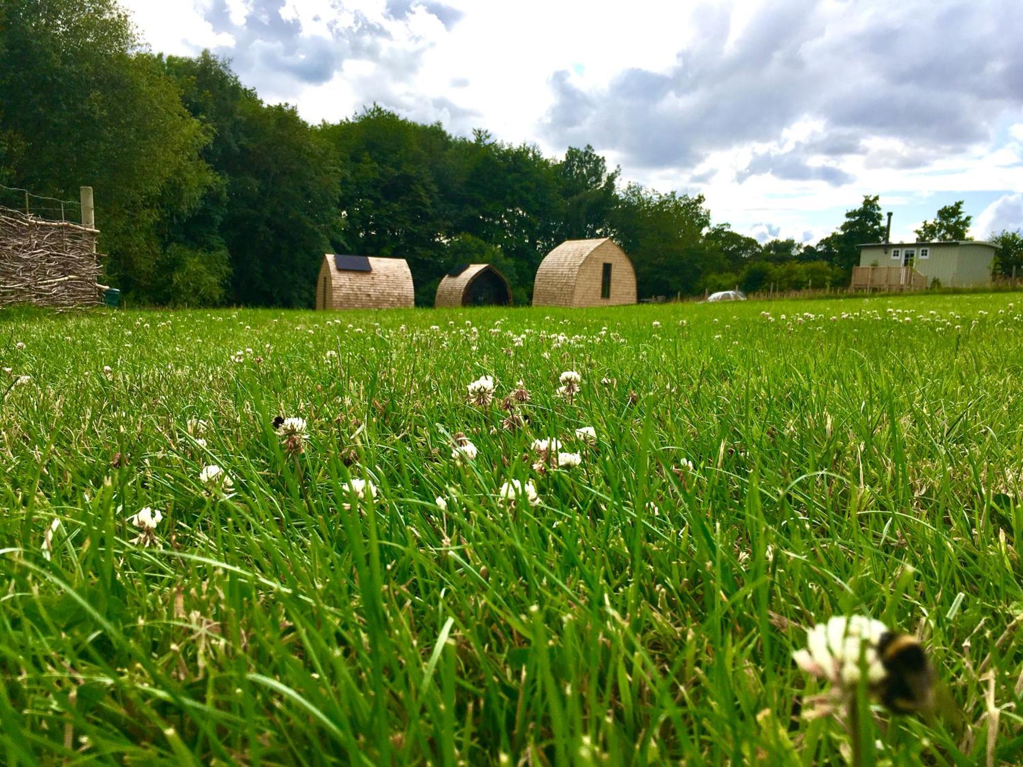 Alder Pod, Clay Bank Huts Hotel Ingleby Greenhow Bagian luar foto